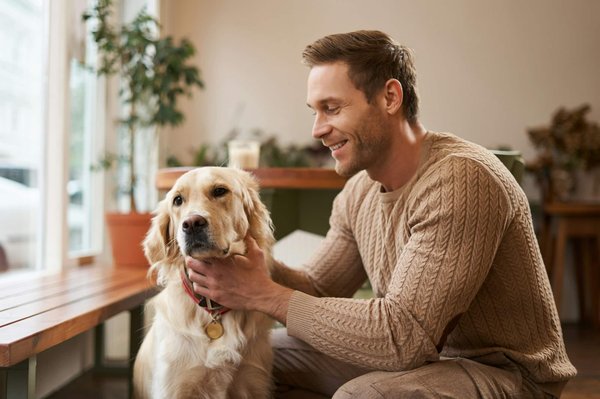 Can You Create a Dog-friendly Workspace in a Small Apartment?