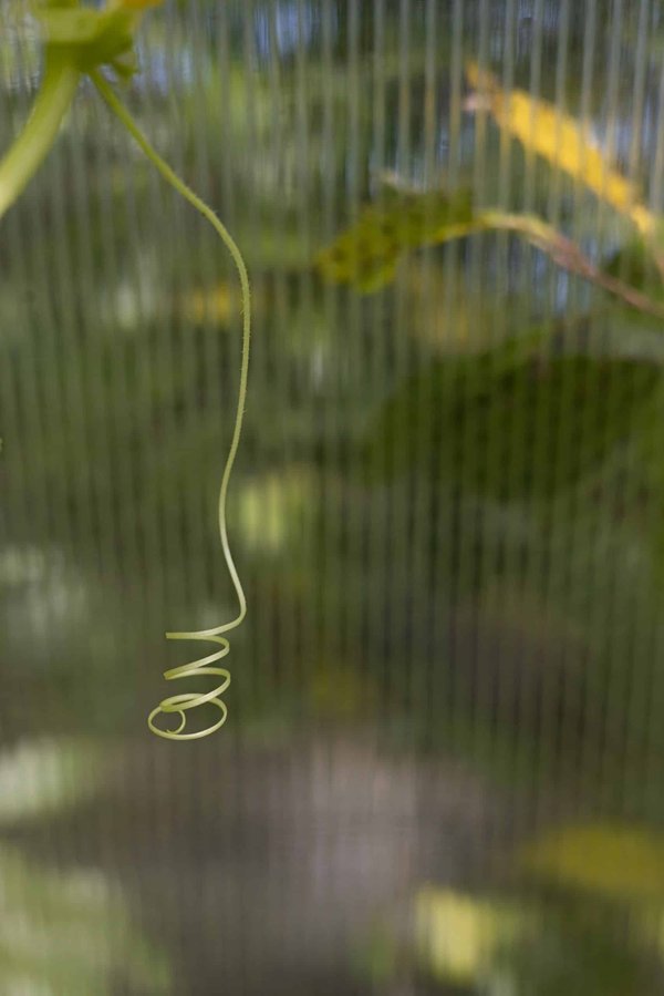 How Can UK Retailers Adapt to Changes in Consumer Spending Habits Post-Brexit?